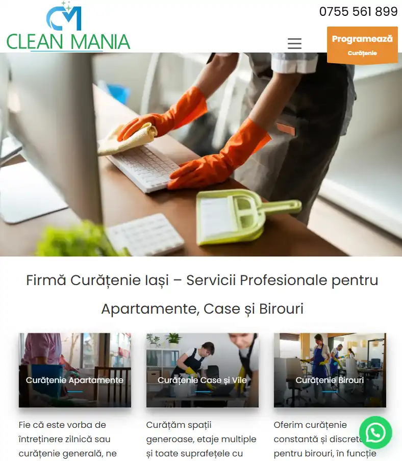 clean-mania